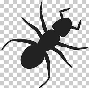 Ant PNG, Clipart, Animation, Ant, Black Garden Ant, Blog, Cartoon Free ...