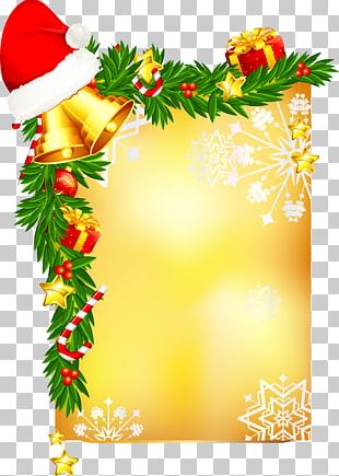 Christmas Ornament Floral Design PNG, Clipart, Aquifoliaceae, Art ...