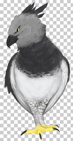 Hawk いらすとや はつゆめちょうじゃ 厌胜物 Png Clipart Apple Beak Bird Bird Of Prey Eagle Free Png Download