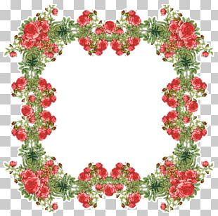 Frames Flower Christmas PNG, Clipart, Blossom, Border Frames, Branch ...