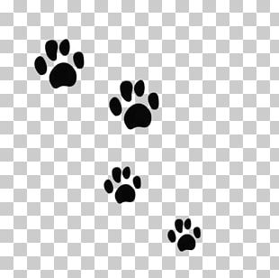 Tiger Claw Felidae Cat Paw PNG, Clipart, Animal, Bear, Black And White ...