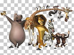 Alex Melman Madagascar Film Character PNG, Clipart, Alex, Animals ...