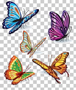 Butterfly Color Stencil Illustration PNG, Clipart, Butterfly Vector ...