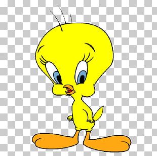 Tweety Cartoon PNG, Clipart, Animation, Art, Art Museum, Beak, Bird ...