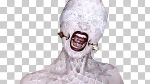 American Horror Story: Murder House YouTube FX PNG