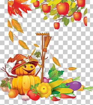 Autumn Vegetable Harvest PNG