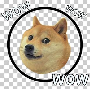 Dogecoin Shiba Inu Cryptocurrency Altcoins Png Clipart Altcoins Bitcoin Carnivoran Coin Cryptocurrency Free Png Download - dogecoin roblox faze clan shiba inu t shirt transparent