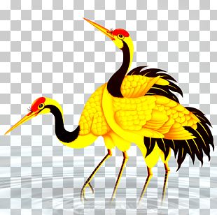Painting Dongying Shengli Airport PNG
