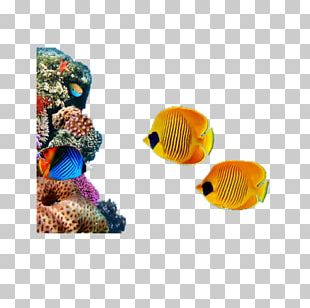 Coral Reef Fish Reef Aquarium Marine Biology PNG, Clipart, Animals ...