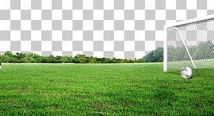 Football Pitch Lawn Artificial Turf PNG
