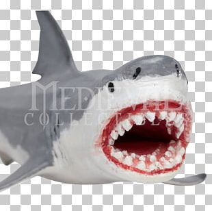 Great White Shark Drawing Graphics PNG, Clipart, Animals, Automotive ...