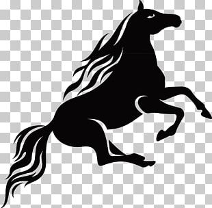 running horse png images running horse clipart free download imgbin com