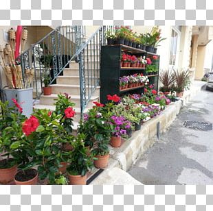 Floral Design Meter Houseplant Yard PNG