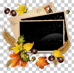 Super Fruit Fall Autumn PNG