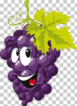Grape Drawing Cartoon PNG