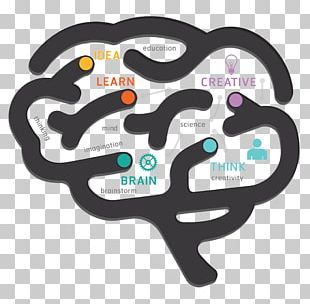 Human Brain Diagram PNG