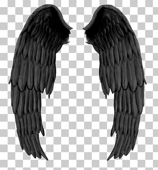 Wings Clipart Images, Free Download