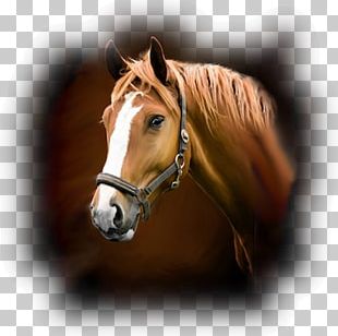 stable door clipart free