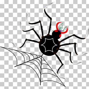 Tangle Web Spider: Với hình dáng kỳ quặc và đầy bí ẩn, Tangle Web Spider là một trong những loại nhện đáng sự chú ý. Hãy đến và tìm hiểu thêm về loài nhện này nhé! Hình ảnh chân thật cho bạn cái nhìn hoàn hảo về Tangle Web Spider sẽ khiến bạn cảm thấy vô cùng thích thú!