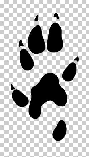 Paw Stoat Desktop PNG