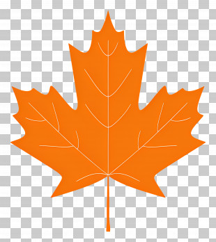 Autumn Maple Leaf - Classic Orange Maple Leaf For Autumn PNG