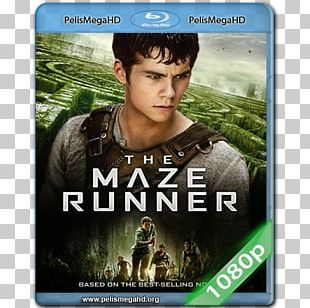 Dylan O\'Brien The Maze Runner The Scorch Trials Thomas, o transparent  background PNG clipart