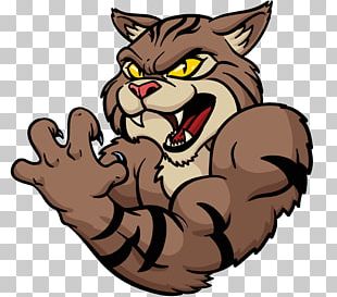 animated wildcat mascot clipart