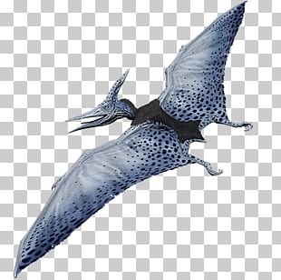 Pteranodon Primal Carnage: Extinction Pterodactyl Dinosaur PNG, Clipart ...