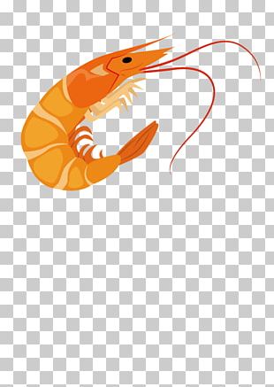 Shrimp PNG, Clipart, Animals, Art, Artwork, Beak, Cartoon Free PNG Download