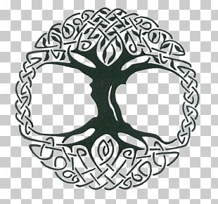 Tree Of Life Symbol Celtic Sacred Trees Zazzle PNG, Clipart, Black And ...