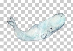 Blue Whale Spray Watercolor Material PNG, Clipart, Animal, Blue, Blue ...