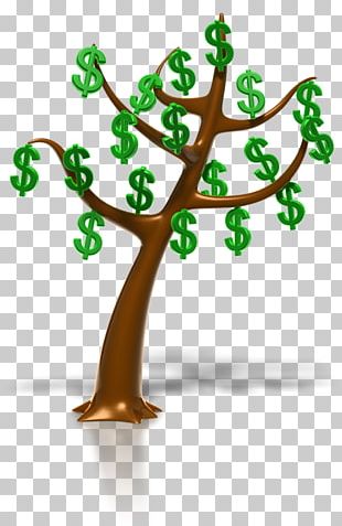 Money Animation Business Investment Finance PNG