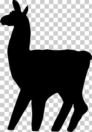 Llama Llama Red Pajama PNG, Clipart, Black And White, Blog, Download ...