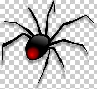 Spider Cartoon PNG, Clipart, Animation, Arachnid, Arthropod, Black And ...