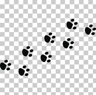 Bear Animal Track Squirrel Footprint PNG, Clipart, Animal, Animal Track ...