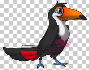 Toucan Cartoon Drawing PNG