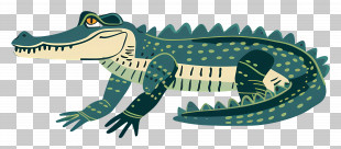 Cartoon Crocodile - Cartoon Green Crocodile Illustration PNG