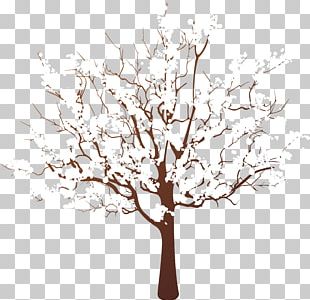 Tree Stump Branch Winter Wood PNG