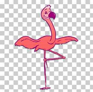 Flamingos Bird PNG, Clipart, Animals, Beak, Bird, Bird Bird, Blog Free ...