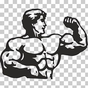 Fitness Centre Physical Fitness Bodybuilding Logo PNG, Clipart ...