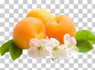 Desktop Fruit Apricot PNG