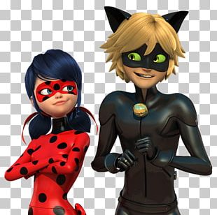 Ladybug Miraculous Ladybug And Cat Noir Quiz Black Cat Lady