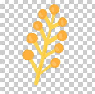 Adobe Illustrator PNG