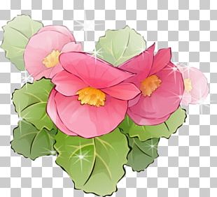 Frame Flowerpot Floral Design PNG