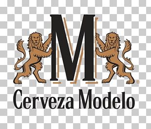 Grupo Modelo PNG Images, Grupo Modelo Clipart Free Download