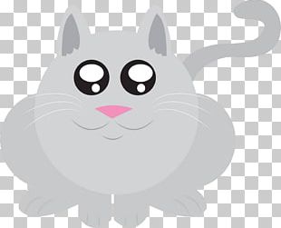 Cat PNG