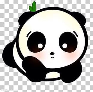 Cartoon Cute Panda Png Images Cartoon Cute Panda Clipart Free Download