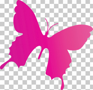 Butterfly Background Flying Butterfly PNG, Clipart, Butterfly ...