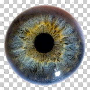 Iris Human Eye Pupil Retinal Scan PNG, Clipart, Advertising, Biomedical ...