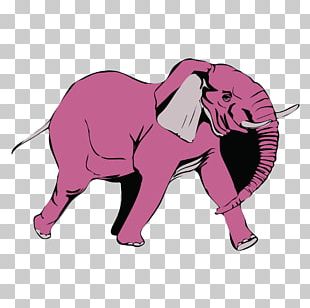 Cute Elephant PNG, Clipart, Animal, Cute, Cute Clipart, Cute Clipart ...